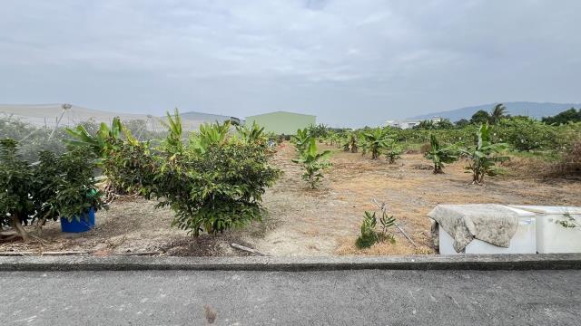 高雄岡山農地-4