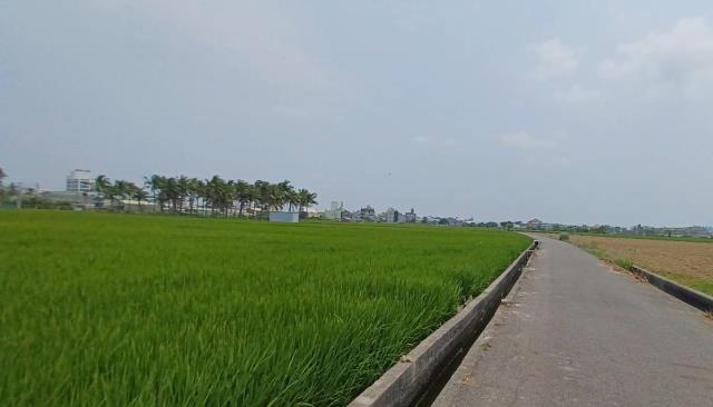 高雄農地-3