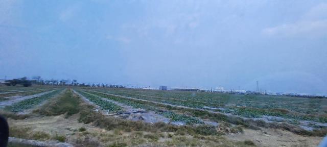 高雄農地-7