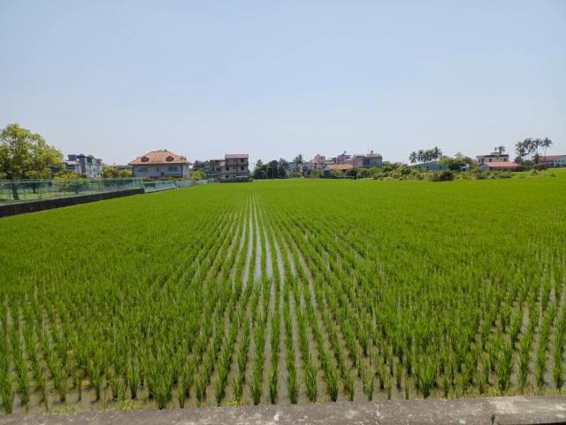 高雄美濃農地-8