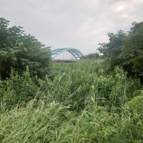 台南學甲農地-0