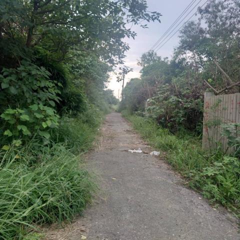 台南學甲農地-1