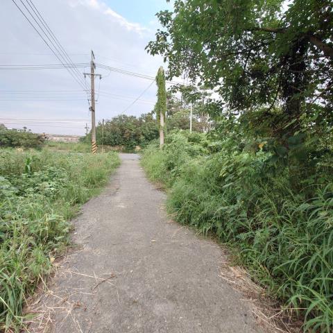 台南學甲農地-8