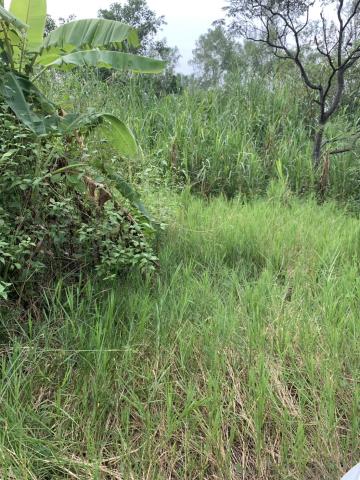 高雄內門農地-3