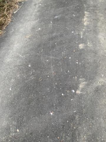 高雄內門農地-5