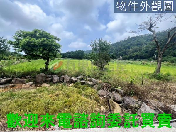 新北三芝農地-4