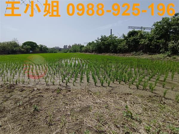 觀音買地觀音買屋66快速公路桃園買地中壢買地新屋買地大園買地