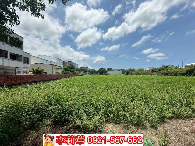 台南農地-5