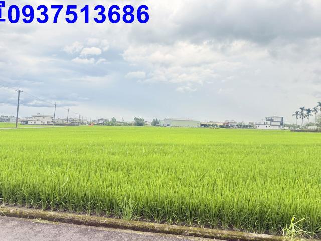 宜蘭礁溪農地-1