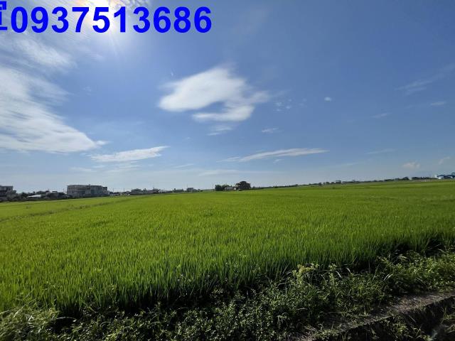 宜蘭壯圍農地-9