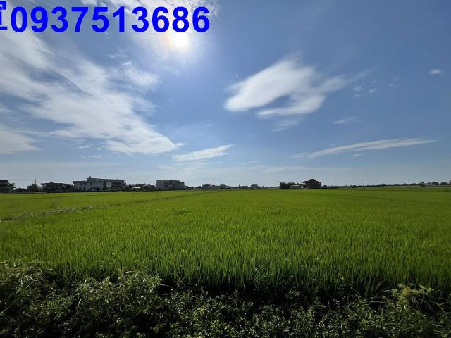 宜蘭壯圍農地-10