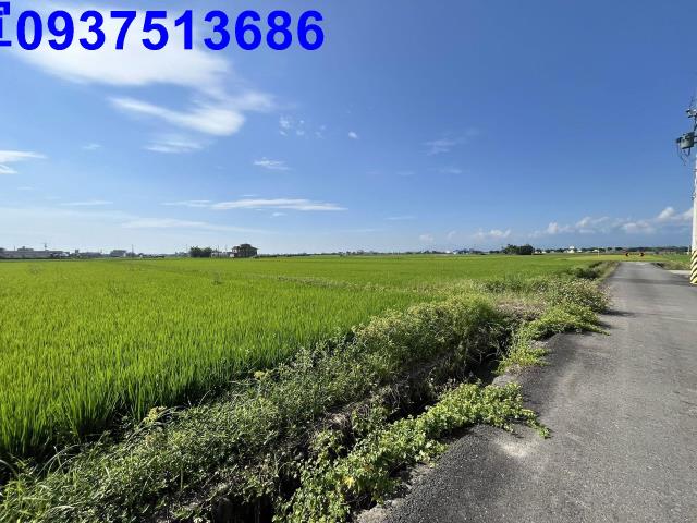 宜蘭壯圍農地-12