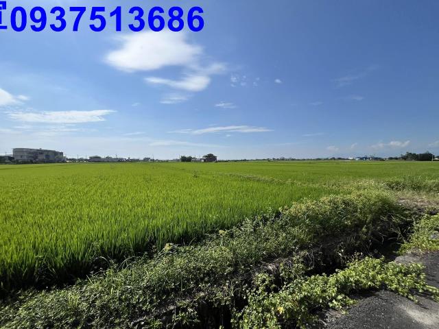 宜蘭壯圍農地-13