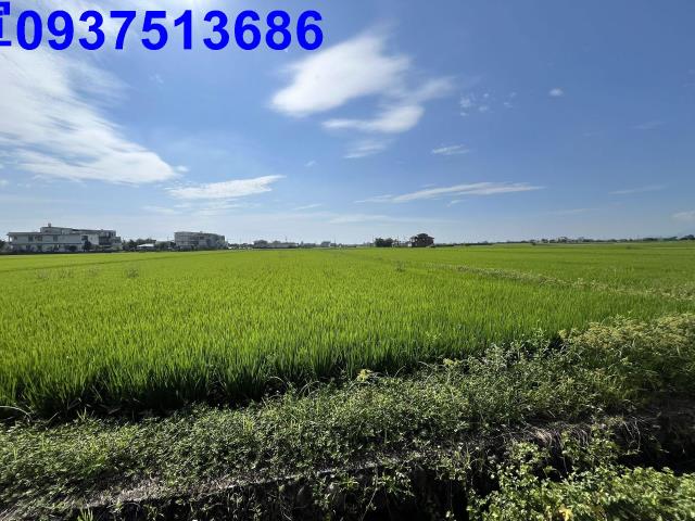 宜蘭壯圍農地-14