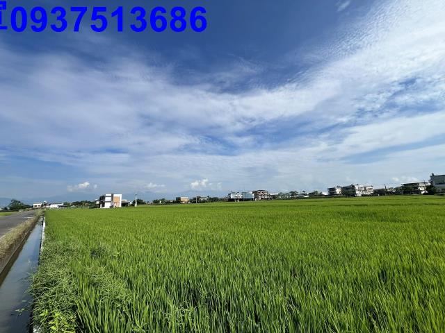 宜蘭壯圍農地-4