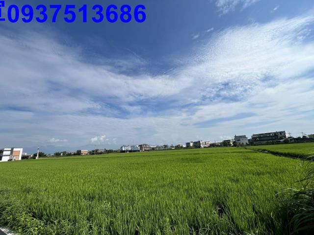 宜蘭壯圍農地-5