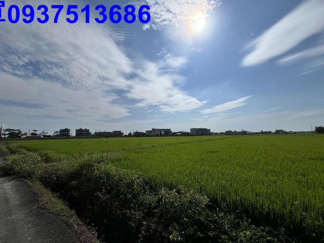 宜蘭壯圍農地-7