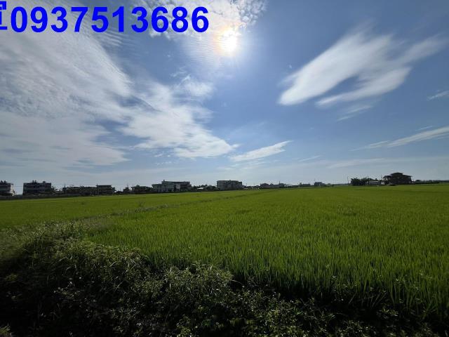 宜蘭壯圍農地-8