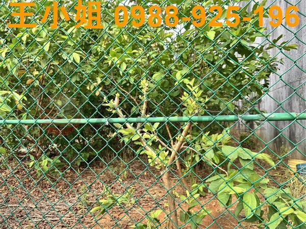 桃園大園農地-1