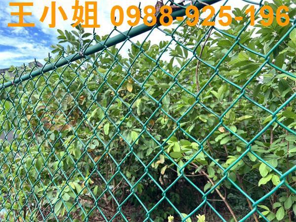 桃園大園農地-2