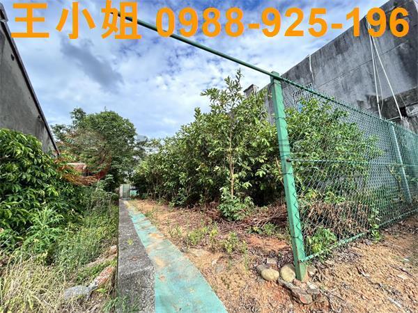 桃園大園農地-3