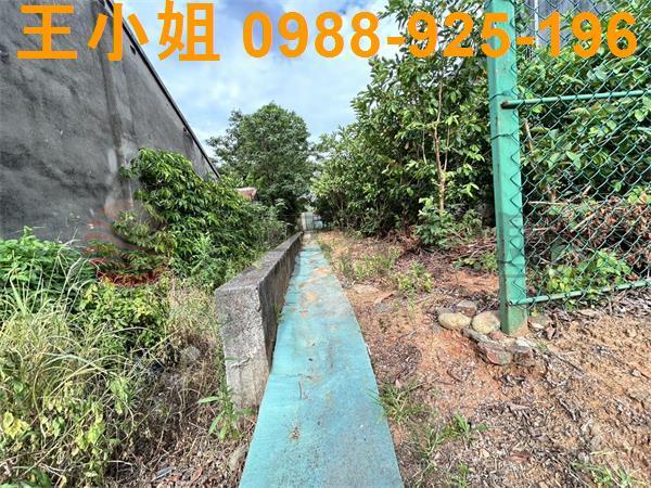 桃園大園農地-4