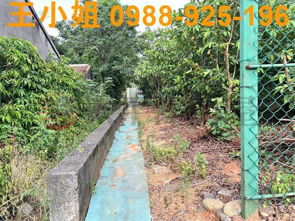 桃園大園農地-5