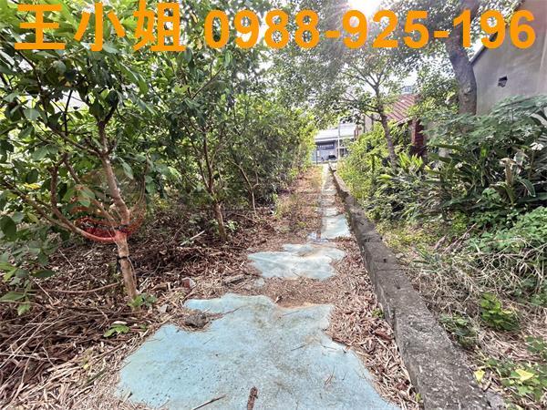 桃園大園農地-7