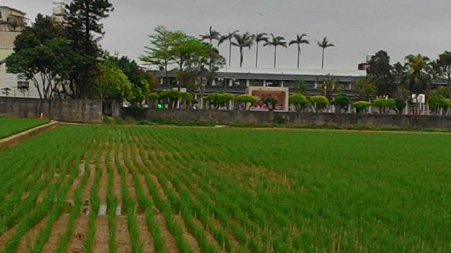 中壢農地-3