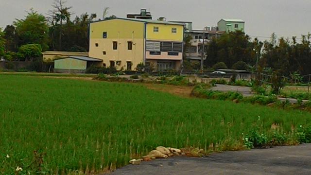 中壢農地-1