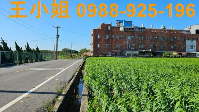 桃園新屋農地-7