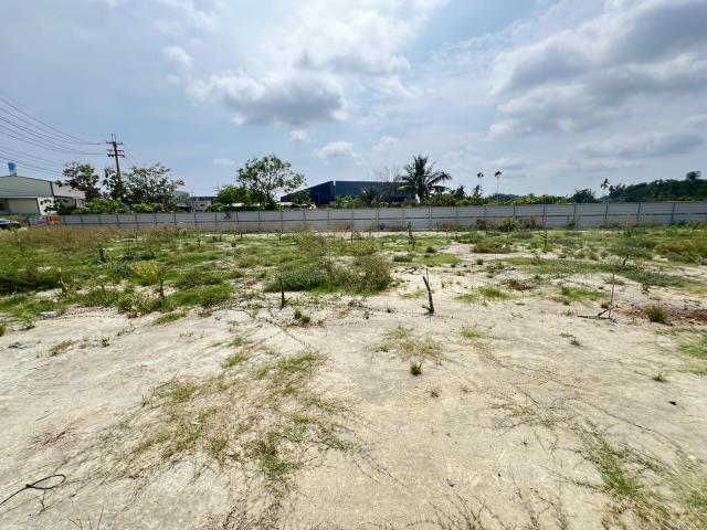 高雄仁武農地-3