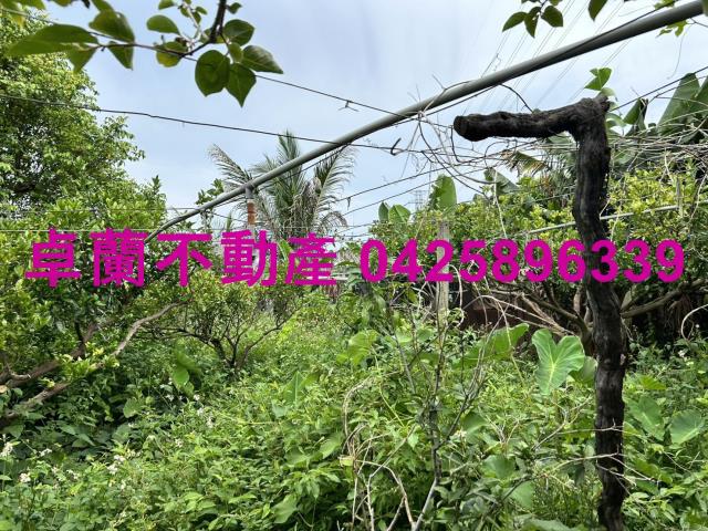 苗栗卓蘭農地-1