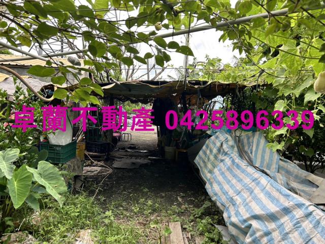 苗栗卓蘭農地-2