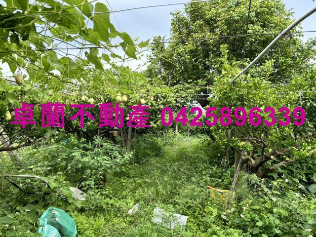 苗栗卓蘭農地-3