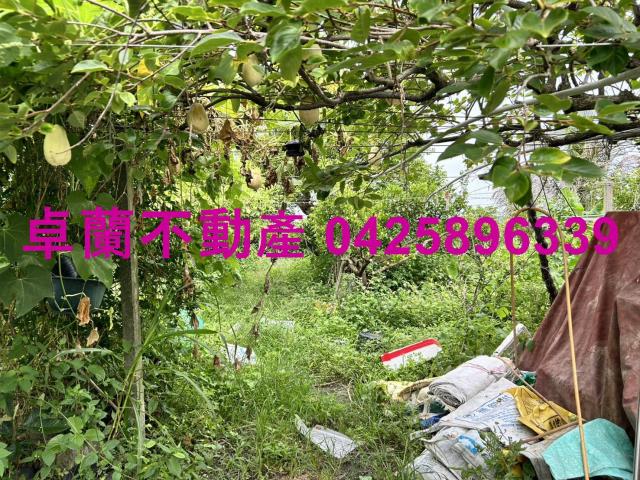 苗栗卓蘭農地-4