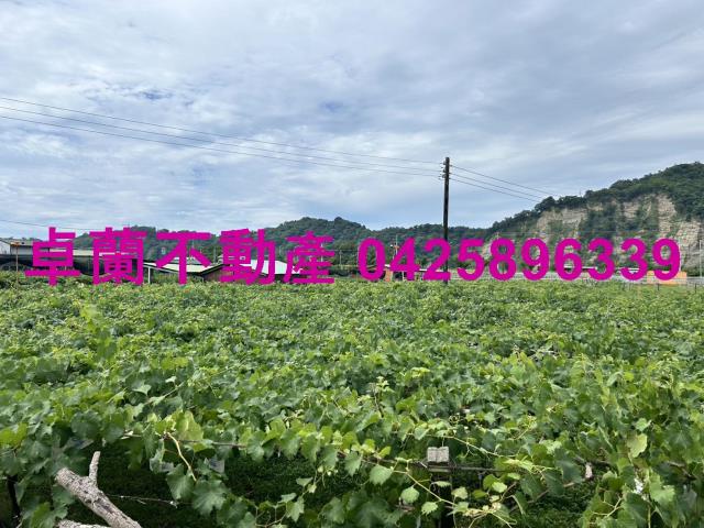 苗栗卓蘭農地-5