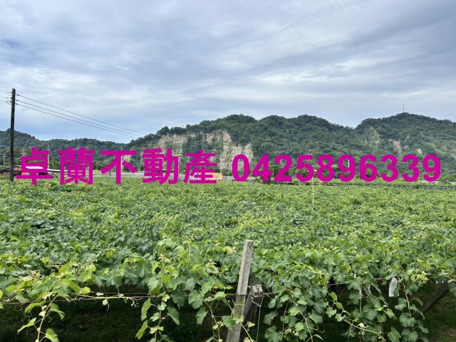 苗栗卓蘭農地-6