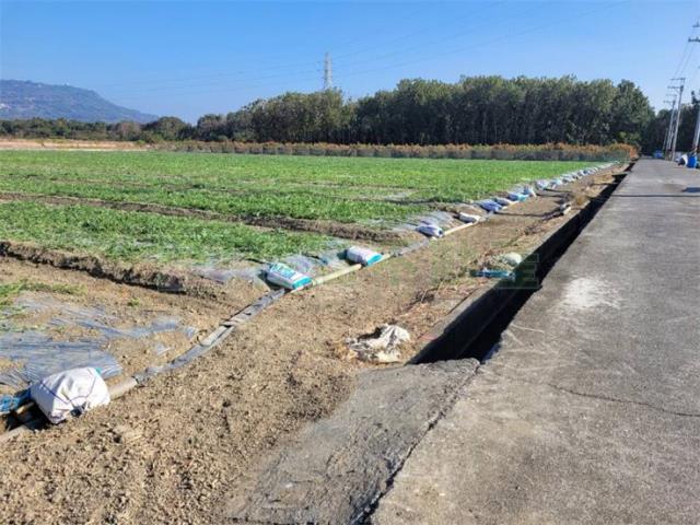阿蓮農地-6