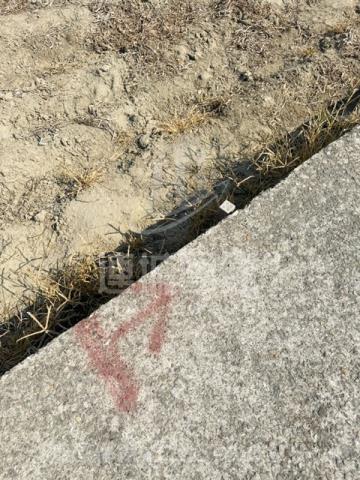 台南安南農地-9