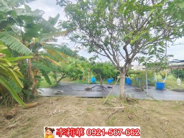 台南安定農地-3