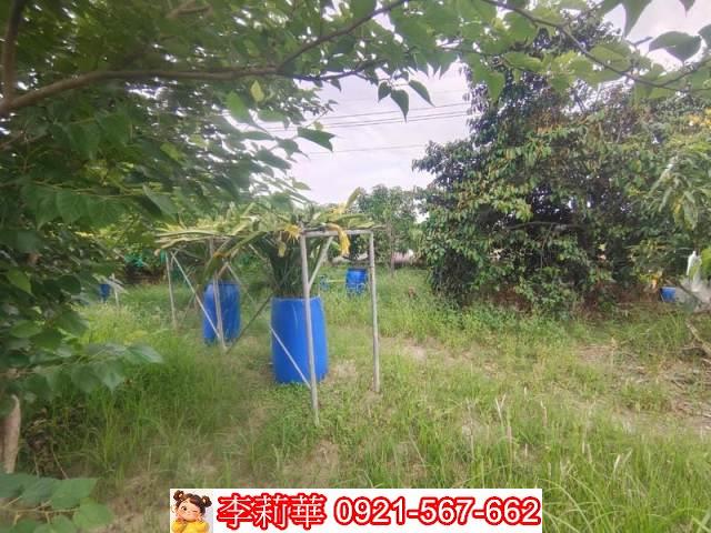 台南安定農地-4