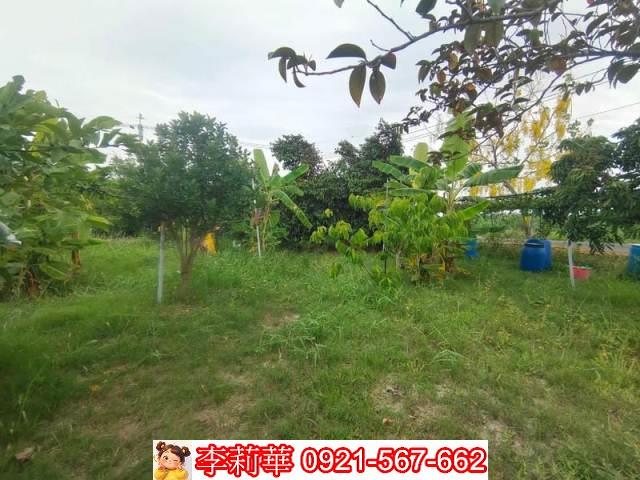 台南安定農地-5