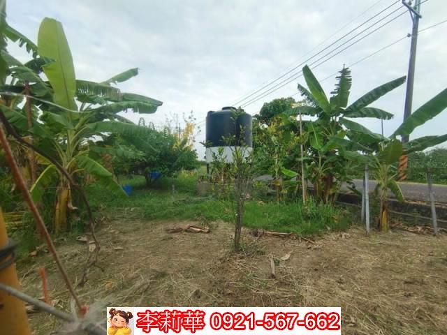 台南安定農地-7