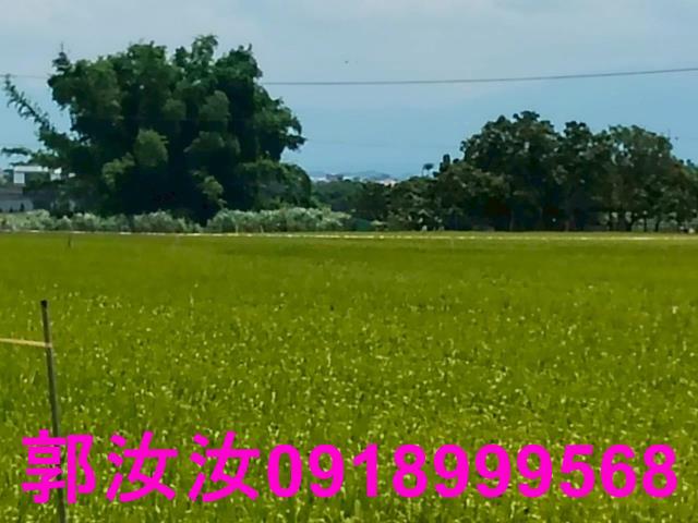 台南東山農地-9