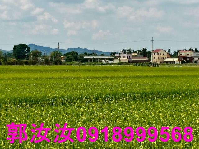 台南東山農地-6