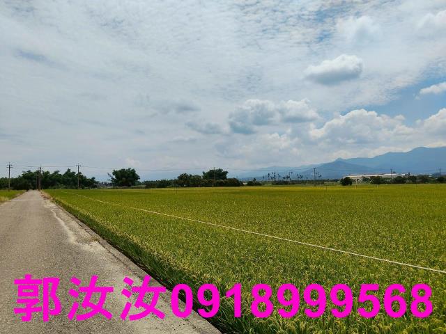 台南東山農地-7