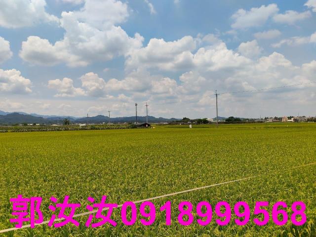 台南東山農地-8