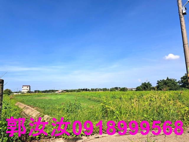 台南柳營農地-10