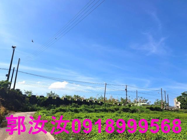 台南柳營農地-11